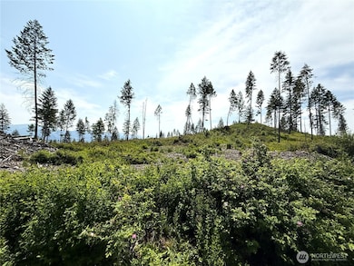 0 Rockabye Ln, Curlew, WA 99118 - photo 7