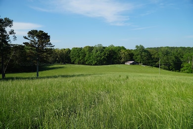 339 Mcnutt Rd, Bear Creek, AL 35543 - photo 7