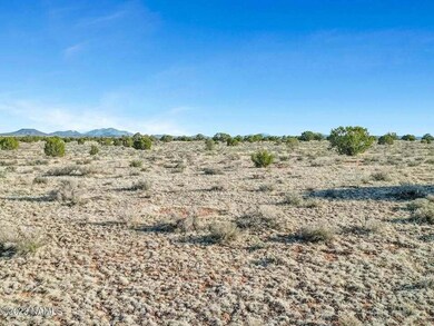 6192012200 Amboy Rd, Joshua Tree, CA 92277 - photo 2