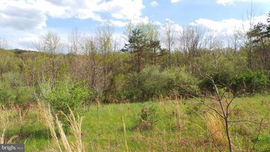 13 Amulet Dr, Berkeley Springs, WV 25411 - photo 2