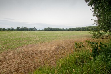 9508 S 10th St, Schoolcraft, MI 49087 - photo 4