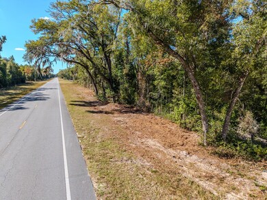 0 NE Highway 351, Old Town, FL 32680 - photo 7