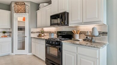 560 Smart Strike Trail, Granbury, TX 76049 - photo 6