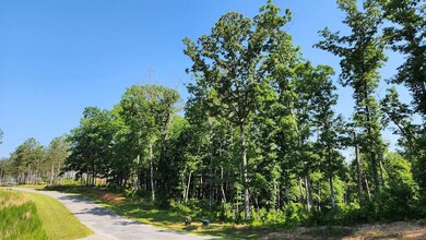 Lot on the Right of Road
