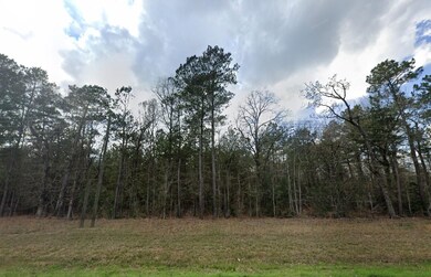 Road 2901, Cleveland, TX 77327 - photo 5