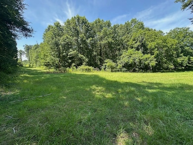 0 Zoar Rd unit 24669433, Chatham, LA 71226 - photo 3