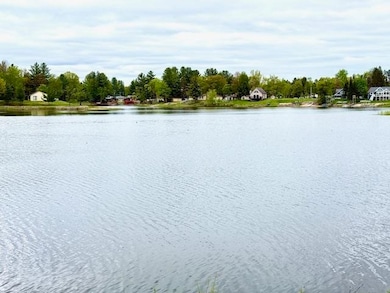 4682 Mohawk Trail, Gladwin, MI 48624 - photo 6