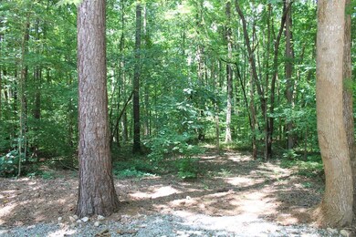 2280 Cedar Grove Rd, Buckhead, GA 30625 - photo 5