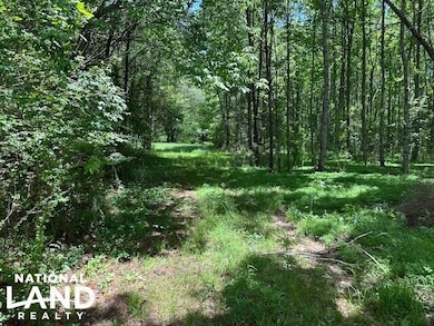 0 May Branch Rd, Cypress Inn, TN 38452 - photo 2