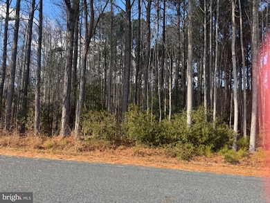 0 Hickman Ln unit 338, Nanticoke, MD 21840 - photo 3