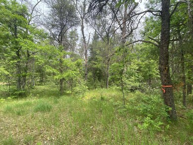 0 Stitt Ln unit 201835231, Mio, MI 48647 - photo 6