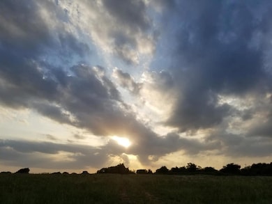 175 County Road 4195, Decatur, TX 76234 - photo 3