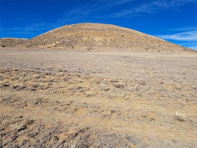 0 Tarryall St, Hartsel, CO 80449 - photo 2