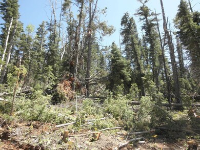 905 W Twisted Trail unit ZVME Un E Lot 113, Duck Creek Village, UT 84762 - photo 4