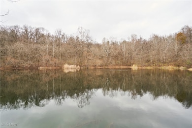 56835 Stephens Rd, Jacobsburg, OH 43933 - photo 6