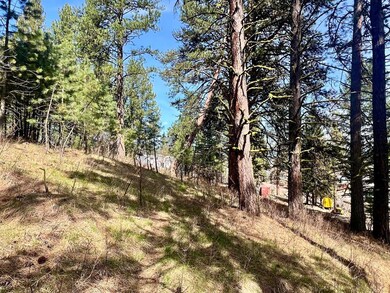 208 W Mill St unit 6 & 7+, Cascade, ID 83611 - photo 6