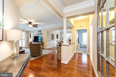 8612 Wintergreen Ct unit 106, Odenton, MD 21113 - photo 5