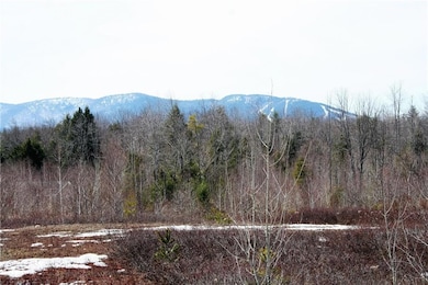 0 Frost Farm Rd Rd unit 1257031, Bridgton, ME 04009 - photo 2