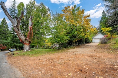 9501 Grizzly Flat Rd, Grizzly Flats, CA 95636 - photo 3