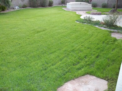 Huge Backyard