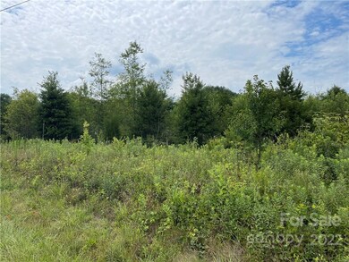 00 Damascus Church Rd, Statesville, NC 28625 - photo 4