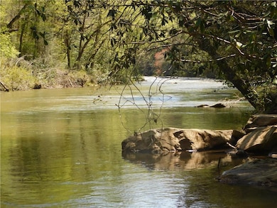 295' Chestatee River front
