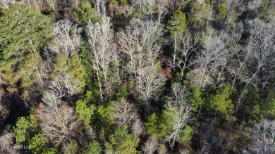 dji_fly_20240213_084528_204_170783554113