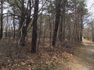 60 13th St N, Edgartown, MA 02539 - photo 6