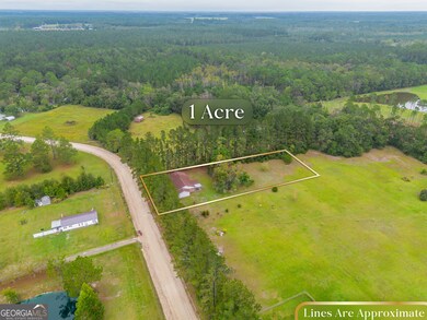 5406 Blue Spruce Rd, Blackshear, GA 31516 - photo 2