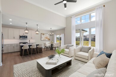 12193 Curragh Meadow Way, Lemont, IL 60439 - photo 4