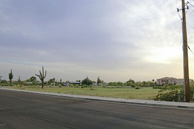 IMG_0531 (2)