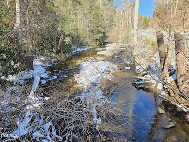 Tbd Viking Mtn Rd, Greeneville, TN 37743 - photo 5