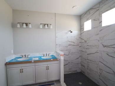 Owner's Bathroom