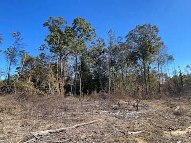 0 Vertie Hoggle Rd, North Perry, AL 36756 - photo 5