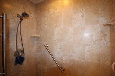 Updated Master Shower