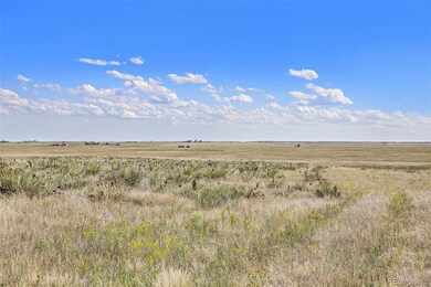 36290 Wagner Ln, Calhan, CO 80808 - photo 7