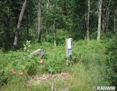Lot 2 Rainbow Pond, Jackson, WI 54830 - photo 2