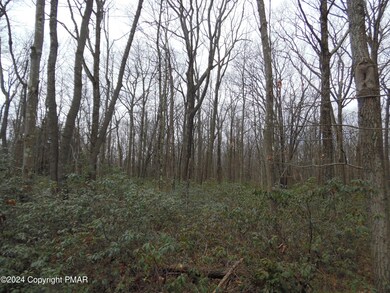 Lot E 540 Cocopah Circle Saginaw Dr, Jim Thorpe, PA 18229 - photo 5