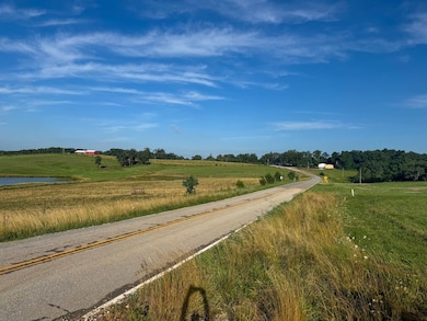 Off Hwy O unit Lot WP001, Perryville, MO 63775 - photo 3