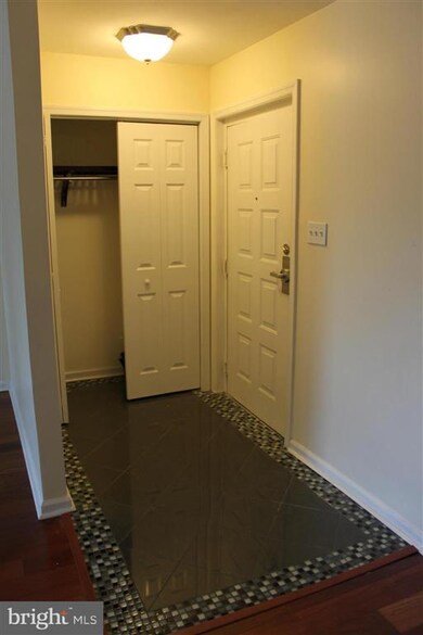 300 Chapel Ct unit 210, Walkersville, MD 21793 - photo 5