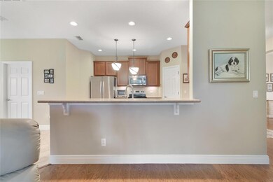 30537 Gidran Terrace, Mount Dora, FL 32757 - photo 7