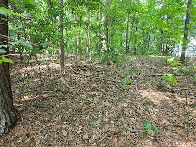 Interior of lot - road to lake view
