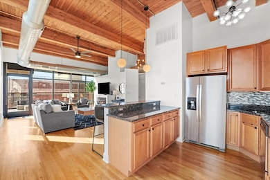 1610 S Halsted St unit 504, Chicago, IL 60608 - photo 6