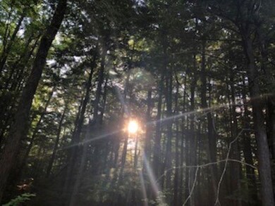 50 Turner Rd, Fitzwilliam, NH 03447 - photo 4