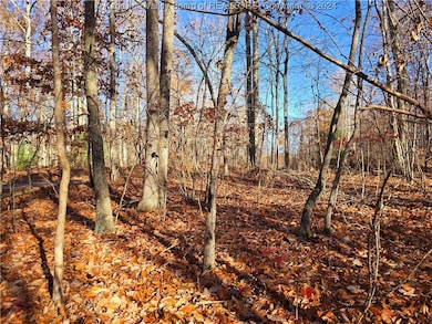 175 Rothfield Cir, Daniels, WV 25918 - photo 7