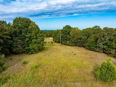 0 Peter Martin Hill Rd unit 24758361, Cave City, AR 72521 - photo 3