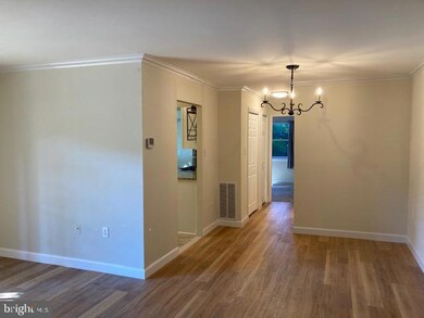 5911 Quantrell Ave unit T3, Alexandria, VA 22312 - photo 5