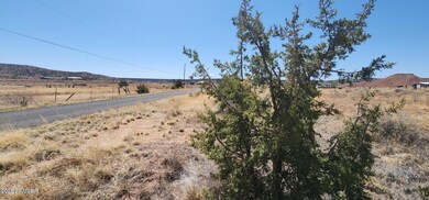 tbd E 2nd St unit 15, Concho, AZ 85924 - photo 5