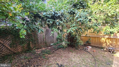 459 M St NW unit C, Washington, DC 20001 - photo 7