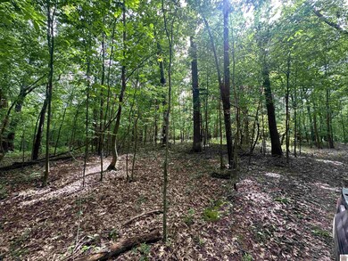 1 Timber Ridge Dr unit and Smith Grove Subd, Paducah, KY 42001 - photo 6